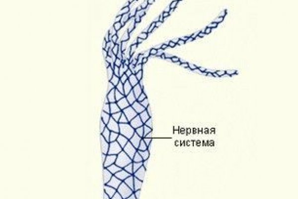 Что такое даркнет кракен