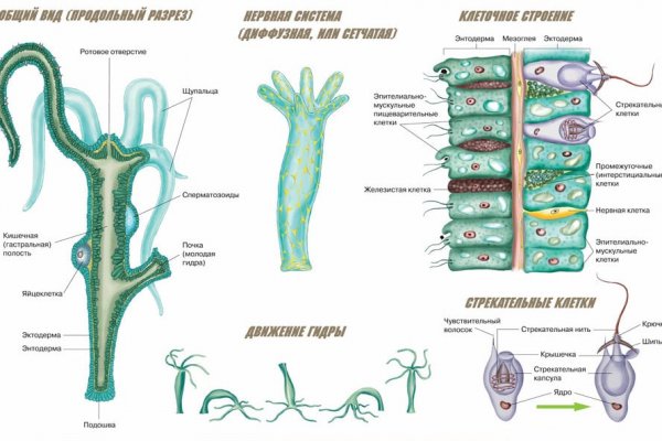 Kraken вывод денег